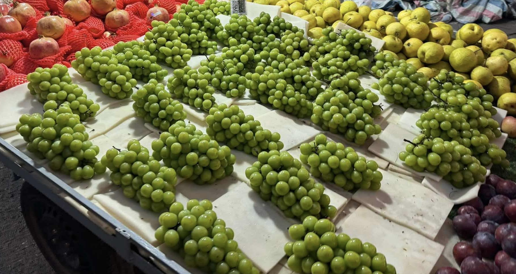 Shocked by the price of 'noble' milk grapes, from expensive to the cheapest fruit on the market