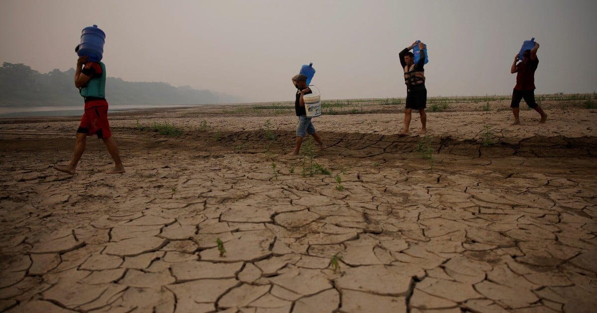 2024 es el año más caluroso de la historia