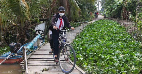 Sớm khắc phục đường nông thôn bị sụt lún ở Bạc Liêu