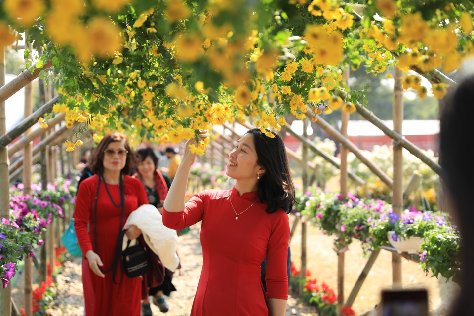 하노이에 사는 관광객뿐만 아니라, 주변 지방의 많은 관광객들도 메린 꽃 축제를 찾습니다.