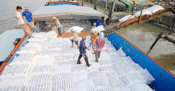 Les exportations de riz atteignent des chiffres sans précédent