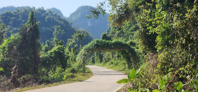 Das Dorf Viet Hai hat auch nach Hunderten von Jahren noch seine Schönheit bewahrt. Foto von Tien Bao 