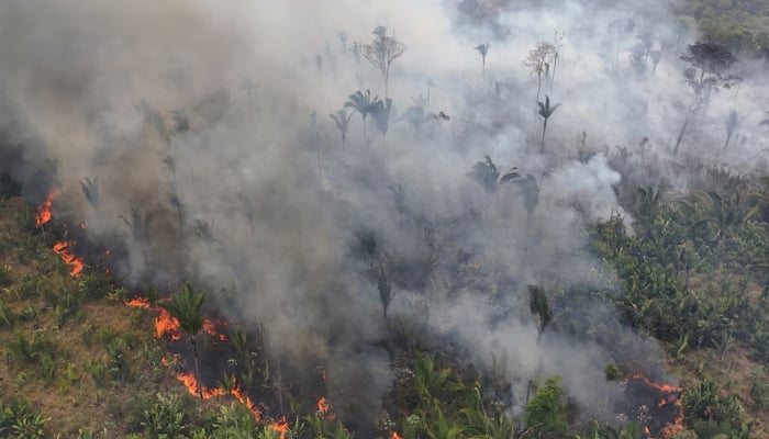 L'Amérique du Sud bat un record d'incendies de forêt