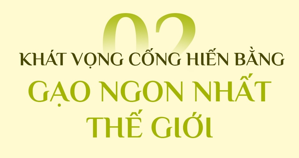 Từ hạt gạo làng ta vươn ra thế giới - Ảnh 4.