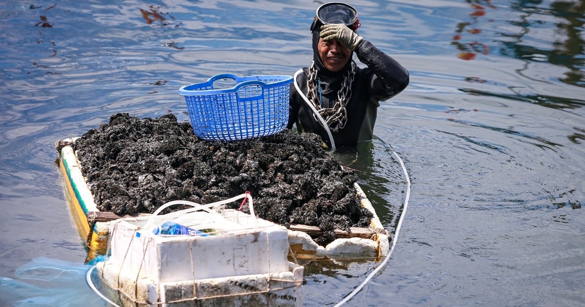 The profession of wrapping iron chains around the body, challenging the River God at the bottom of the river