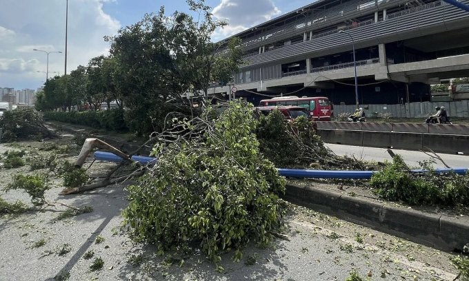 Auto prallt gegen Strommast und Bäume. Foto: Dinh Van