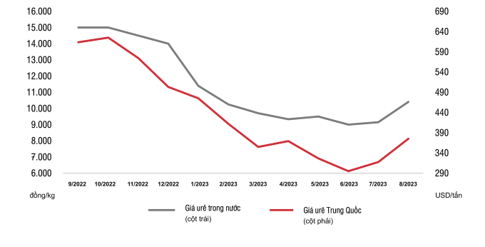 Urea prices bottomed out and moved sideways in June-July, starting to increase from August 2023. Source: SSI Research