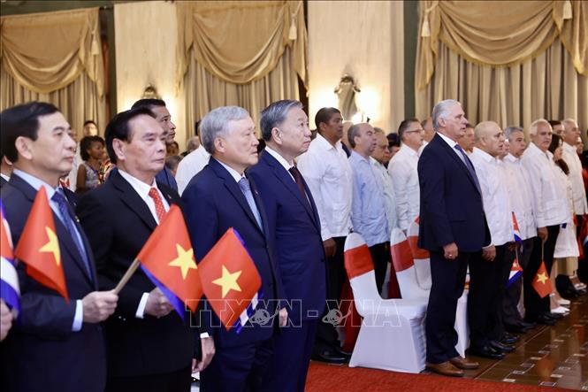 Generalsekretär, Präsident To Lam, Erster Sekretär der Kommunistischen Partei Kubas, Präsident Kubas Miguel Diaz Canel Bermudez und Delegierte bei dem Treffen. Foto: VNA