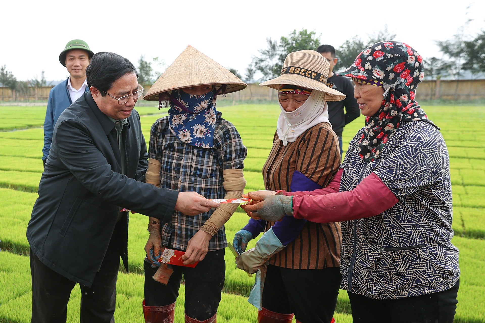 Thủ tướng xuống đồng cấy lúa, thu hoạch cà rốt cùng nông dân- Ảnh 3.