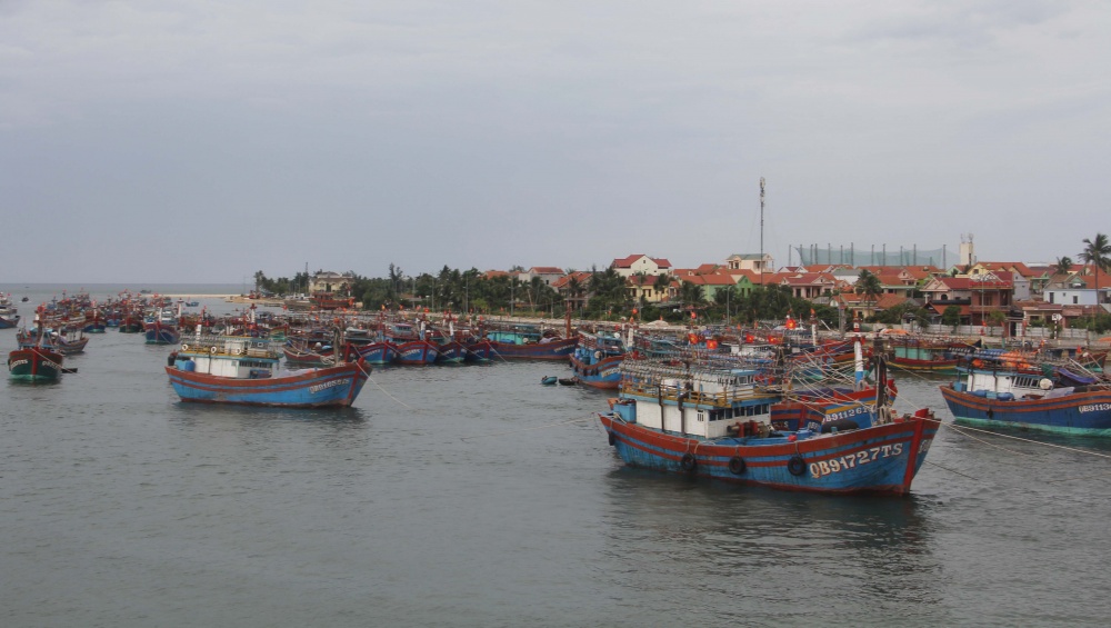 Miền Trung nỗ lực chống khai thác hải sản bất hợp pháp, không báo cáo và không theo quy định (IUU).