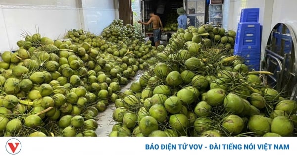 La noix de coco verte et le pamplemousse à peau verte bénéficient d’une protection au Canada.