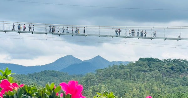 Un pont à fond de verre de 325 m de long à Da Lat mis en service pour les touristes