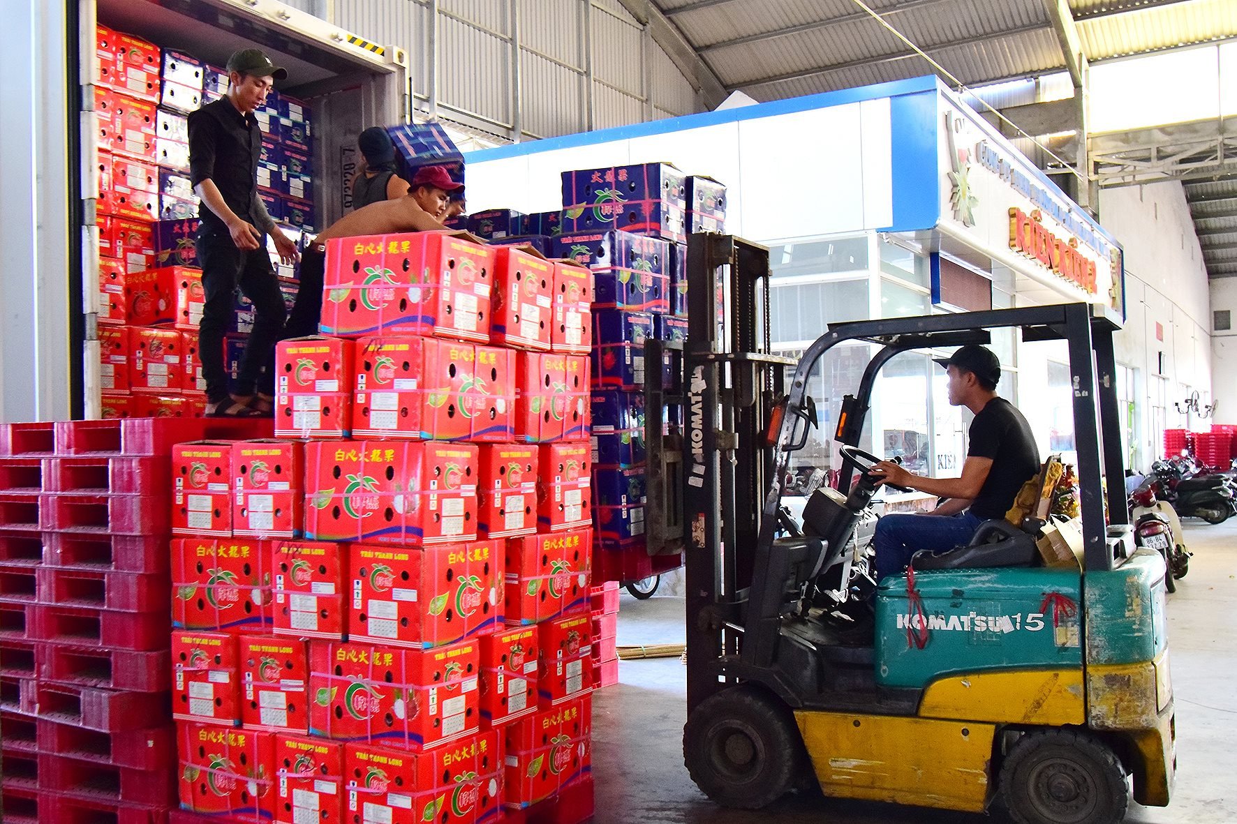 fruit-du-dragon-chargé-sur-un-conteneur-pour-l'exportation-photo-n.lan-2-.jpg