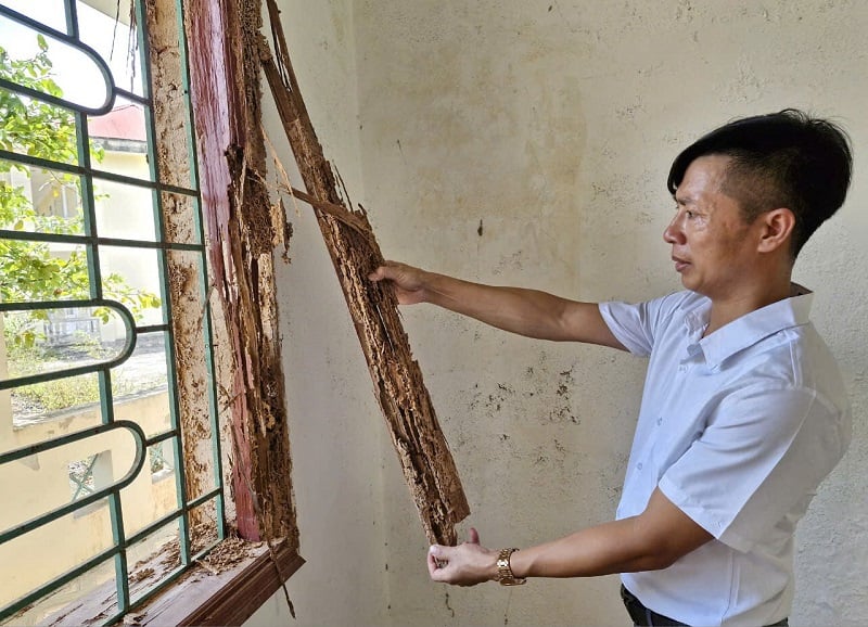 El marco de la ventana de madera fue completamente destruido por las termitas.