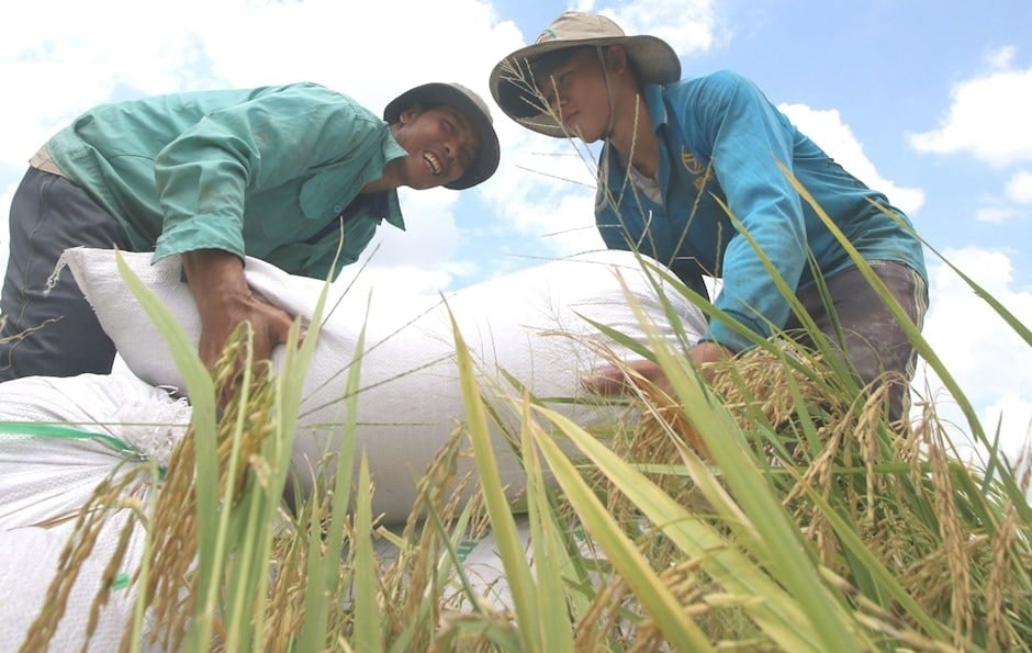 Việt Nam nỗ lực thực hiện các mục tiêu giảm nghèo bền vững đến 2025