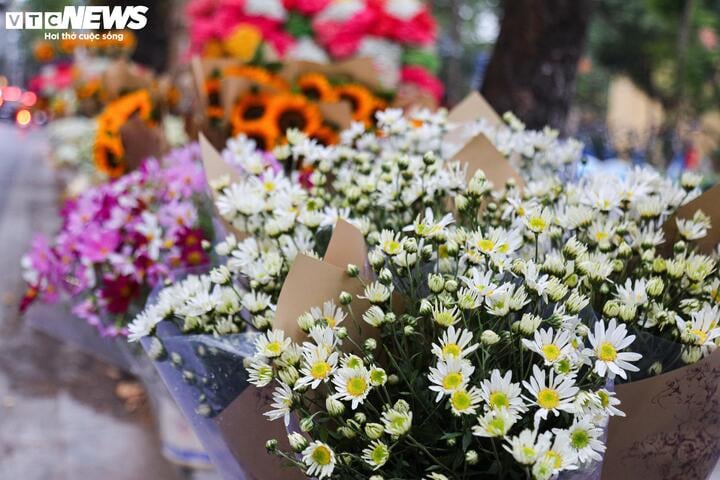 Fresh flowers increase sharply in price on November 20th - 7