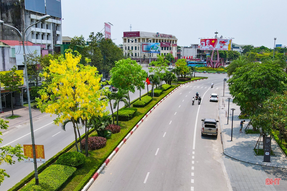 TP Hà Tĩnh đẹp nao lòng mùa hoa muồng hoàng yến