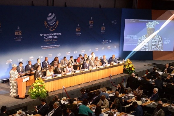 Zahlreiche wichtige Aktivitäten der vietnamesischen Delegation bei der 13. WTO-Ministerkonferenz