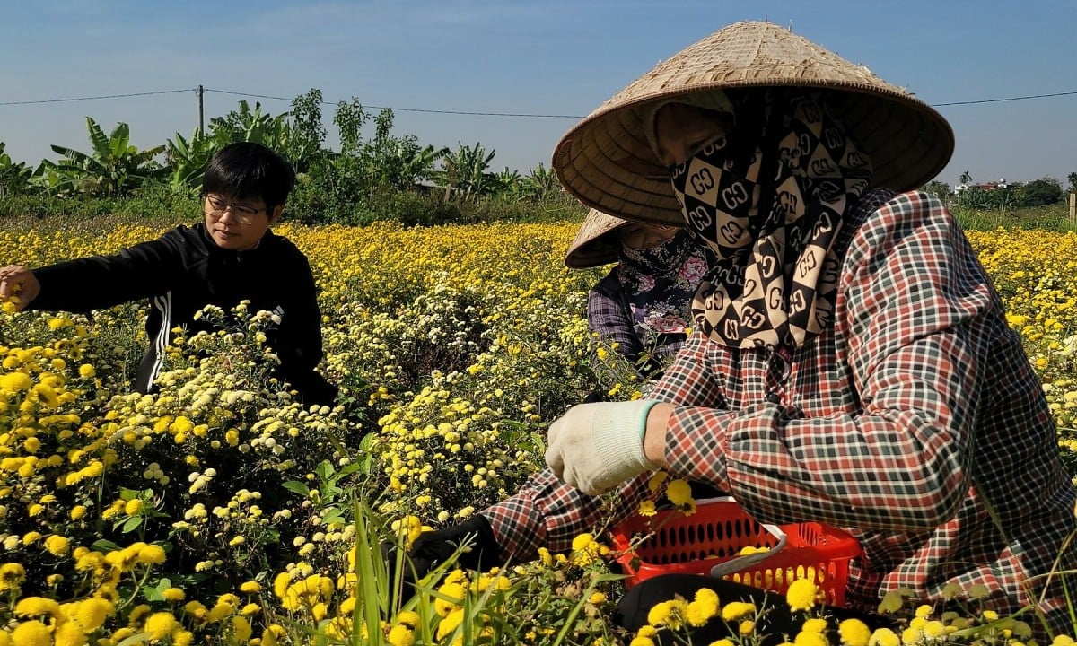 Biến đất hoang thành nông trại hữu cơ