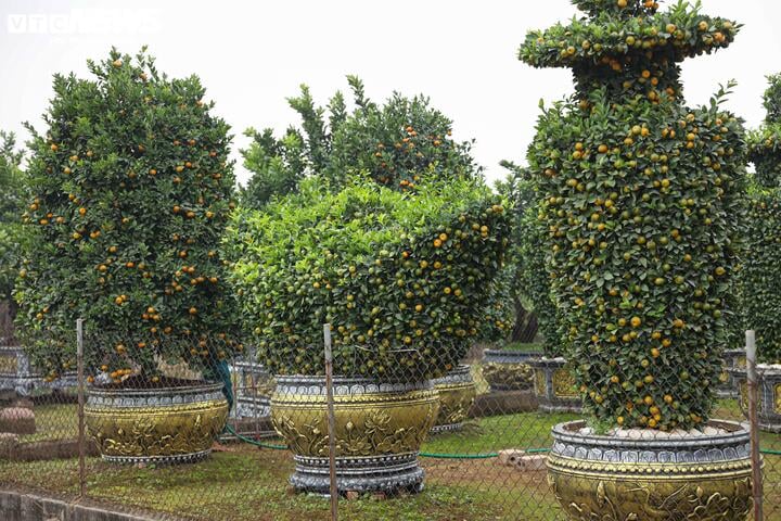 ការកាត់ចេញក៏ទាមទារឱ្យកម្មករមានភ្នែកល្អ និងមានបទពិសោធន៍ច្រើនឆ្នាំផងដែរ។