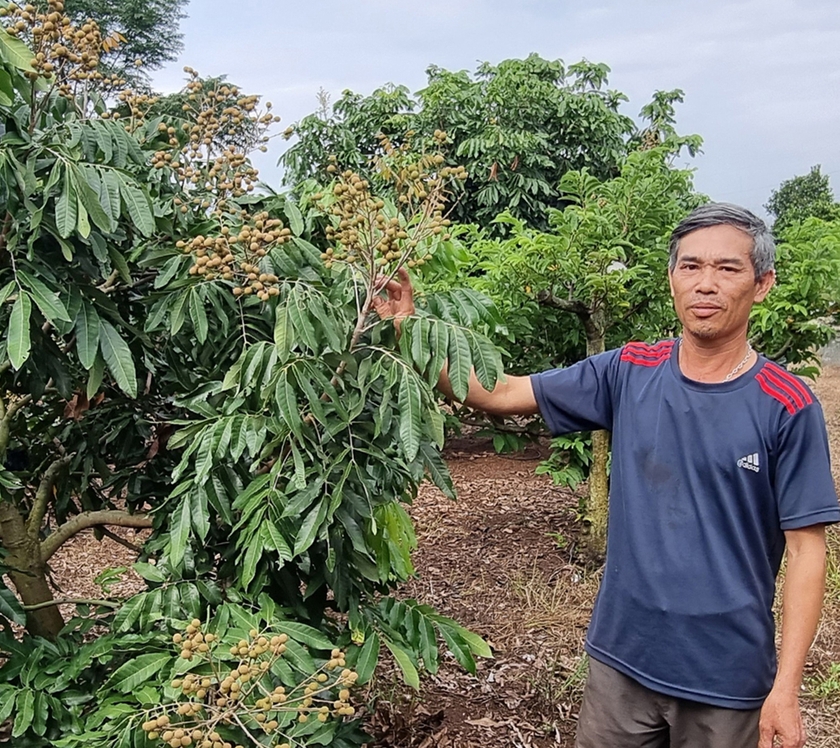 Kông Chro hướng đến mục tiêu phát triển nhanh, bền vững ảnh 2