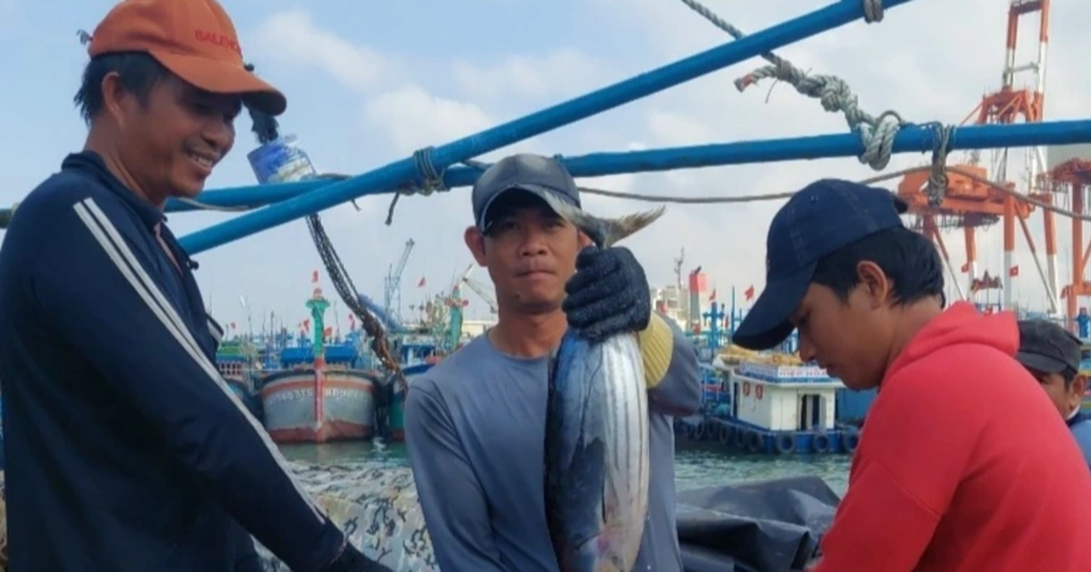 Winning a 30-ton tuna haul, crew members share nearly 1 billion VND for Tet