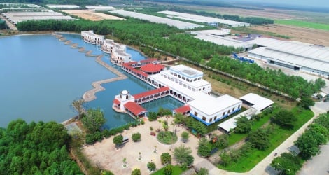 Tay Ninh focuses on agriculture as a strength in attracting investment.