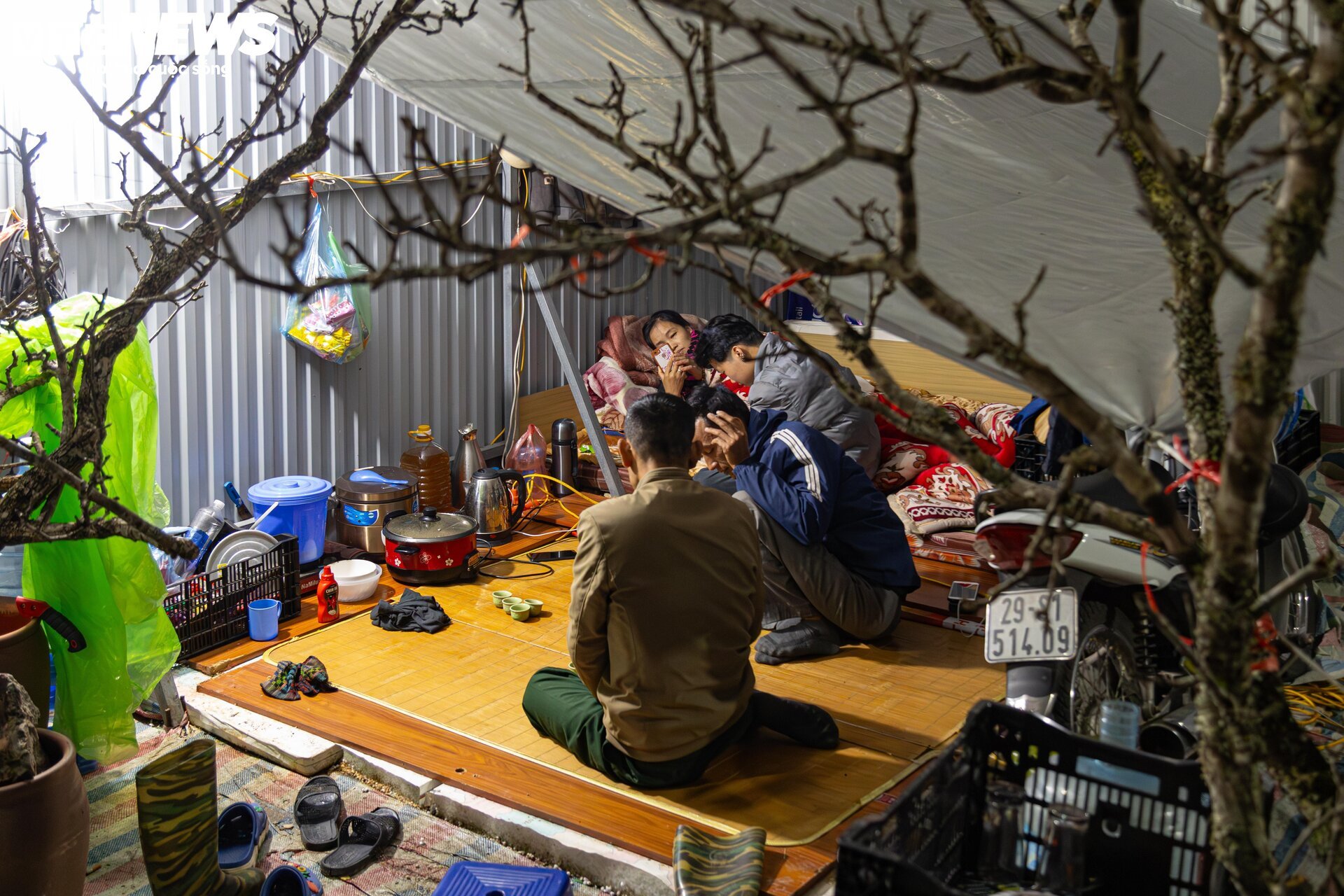 Los pequeños comerciantes luchan contra el frío extremo en Hanoi, quedándose despiertos toda la noche para cuidar los árboles de durazno y kumquat - 8