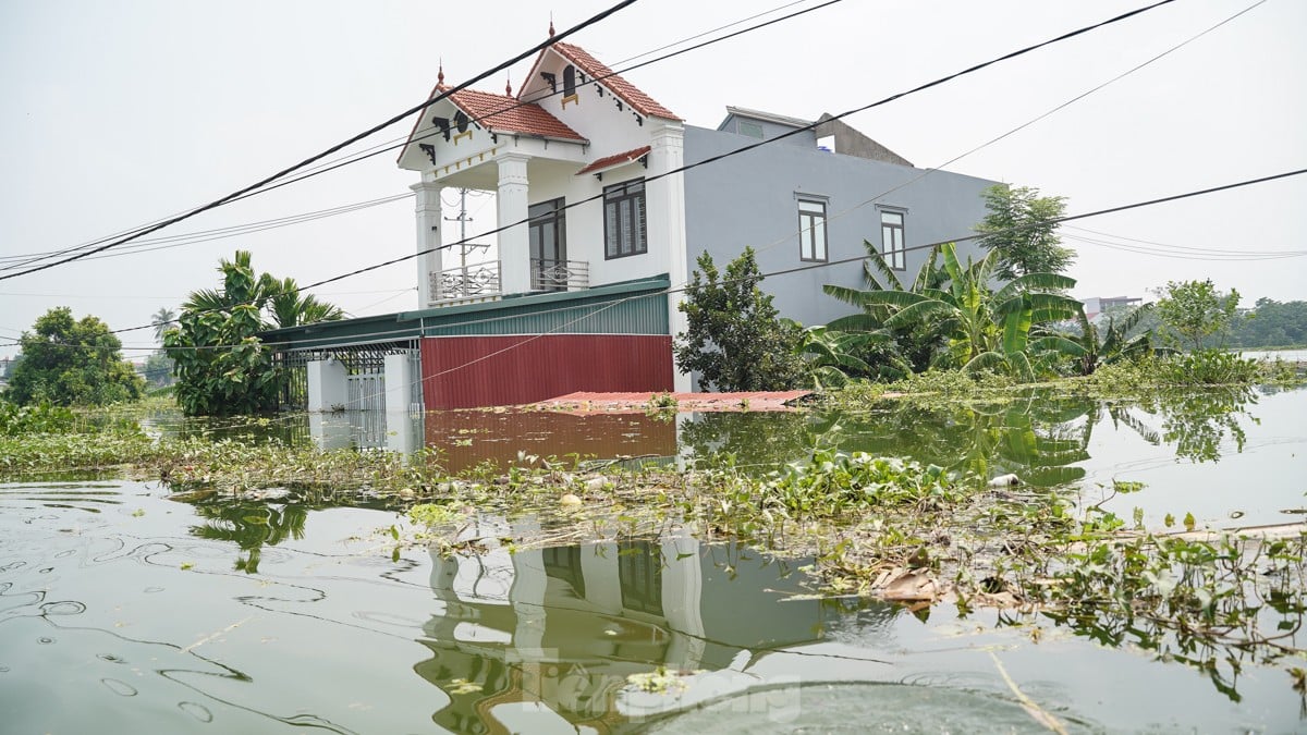 Une « inondation forestière » submerge des centaines de maisons dans la banlieue de Hanoi, photo 10