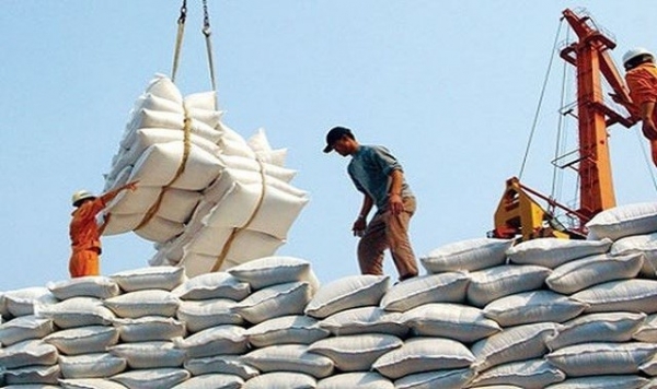 Los precios del arroz fluctúan, con una ligera tendencia a la baja para los productos de arroz.