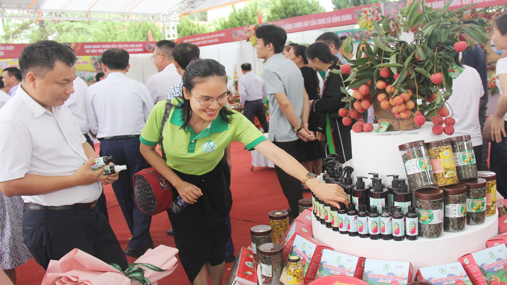 vải thiều, chế biến, Lệ Chi, bánh mỳ vải, trà vải, Bắc Giang.