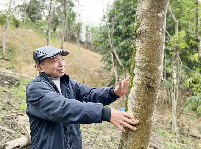 Một nông dân Lào Cai trồng thứ 