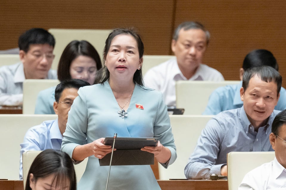 Delegado de la Asamblea Nacional, Ly Tiet Hanh (delegación de la provincia de Binh Dinh) - Foto: Quochoi.vn