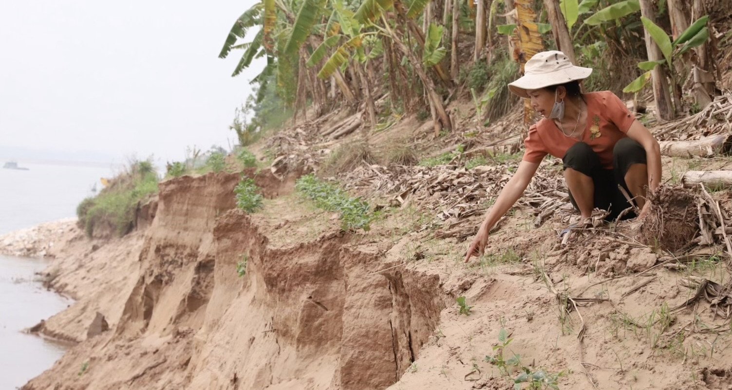 Da River bank eroded hundreds of meters, many households in Phu Tho are restless