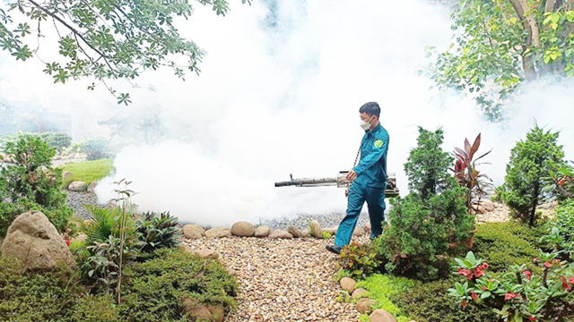 Le nombre de cas de dengue continue d'augmenter