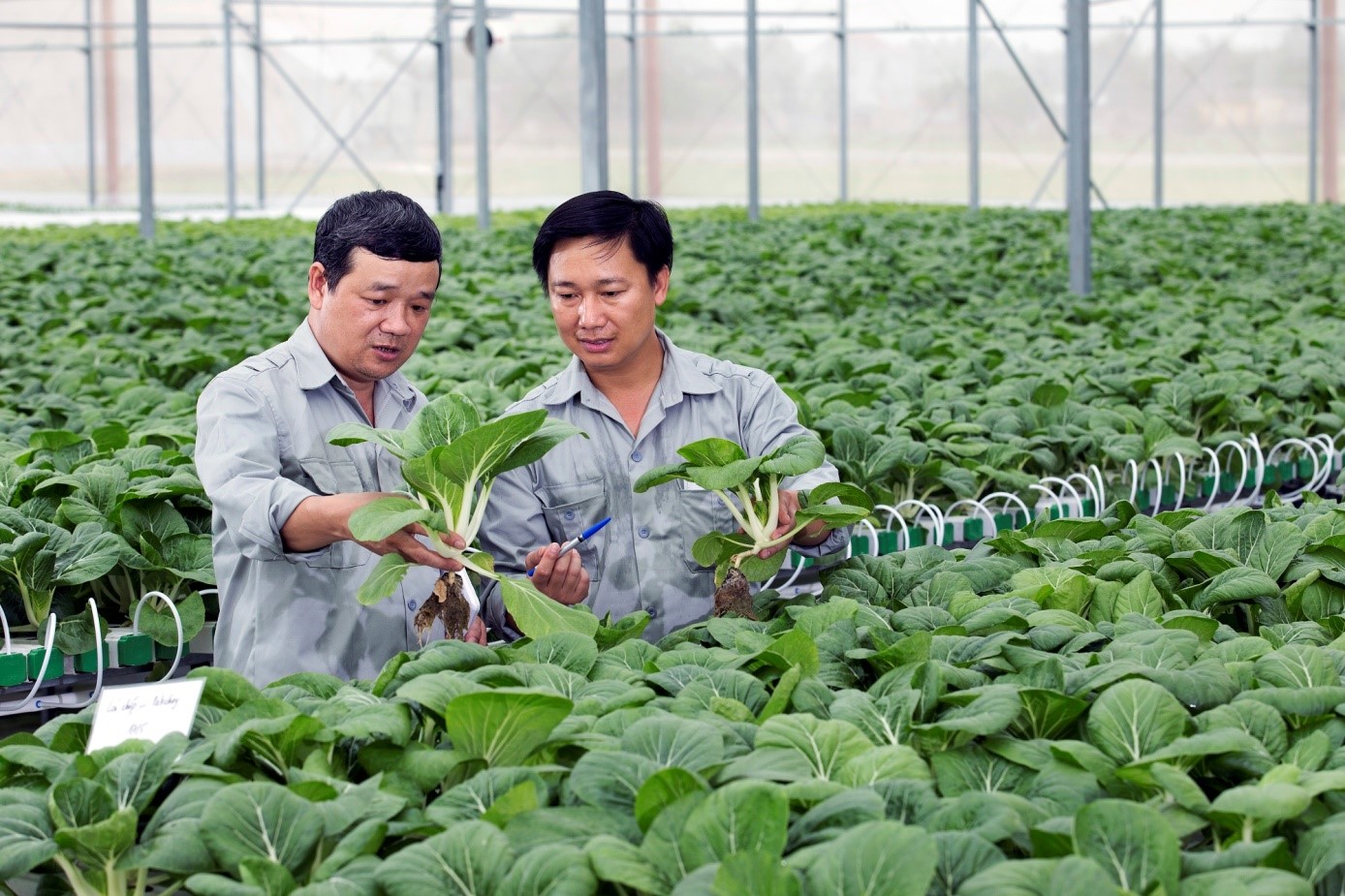 Gần 40 triệu đồng giải thưởng cho 'Những câu chuyện hay về nông nghiệp, nông dân TP.HCM' - Ảnh 1.