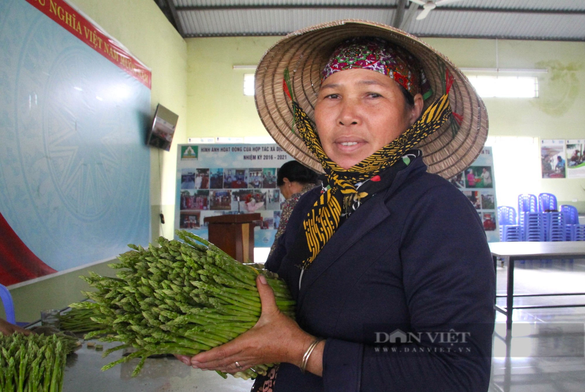 Có Hợp tác xã này 