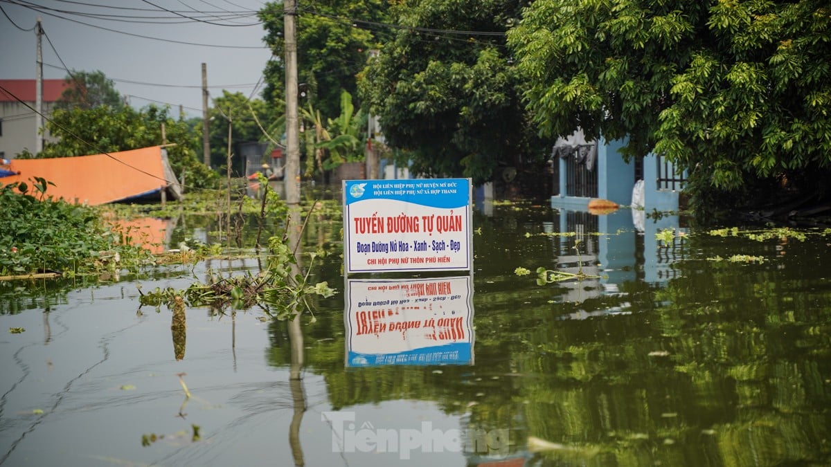 Une « inondation forestière » submerge des centaines de maisons dans la banlieue de Hanoi, photo 17