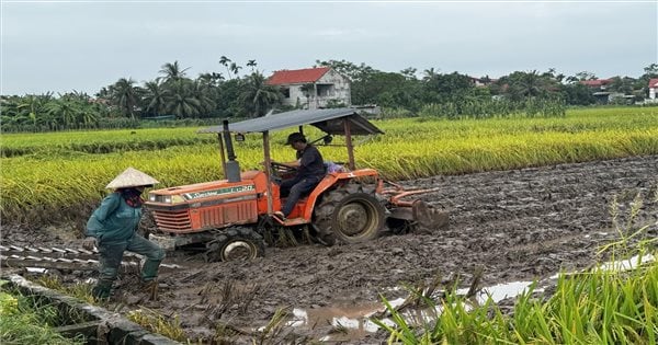 Localities focus on restoring production after storms and floods