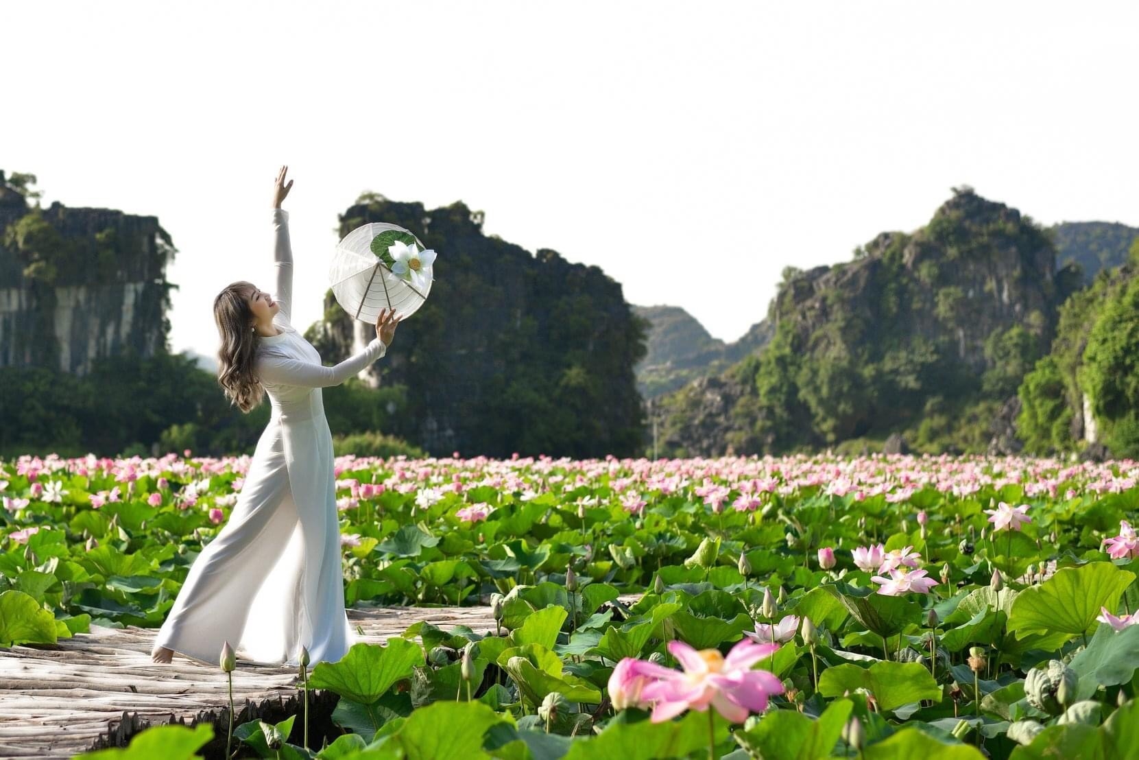 Ninh Binh ស្ថិតក្នុងរដូវដ៏ស្រស់ស្អាតបំផុតប្រចាំឆ្នាំ។