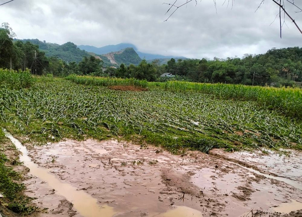 In Lao Cai entstanden durch Naturkatastrophen Schäden in Höhe von über 2 Milliarden VND.