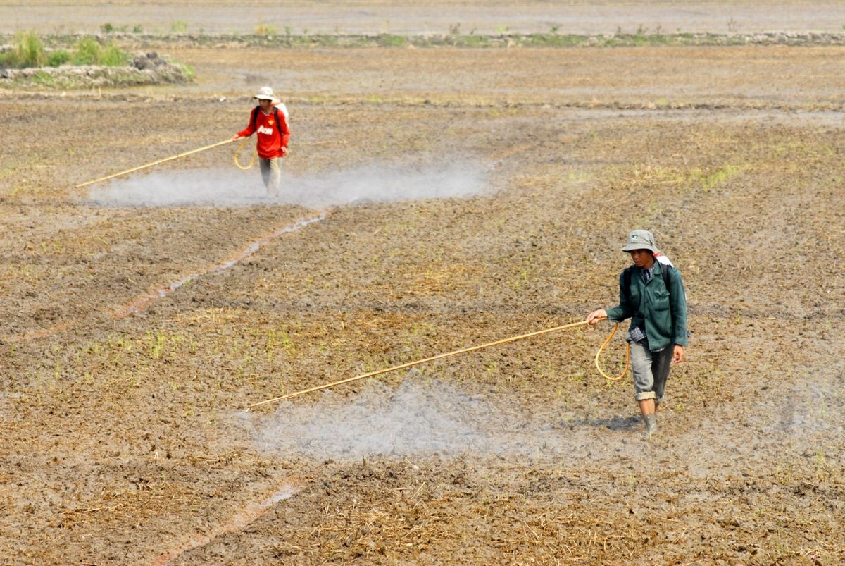 The trend of using biological pesticides is increasing sharply.