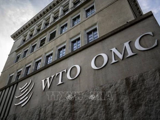 WTO đánh giá cao vai trò của Việt Nam trong chuỗi cung ứng và thương mại toàn cầu