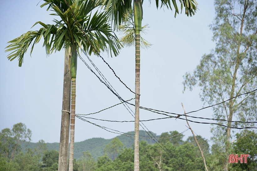 Les habitants de Khe Tho « souffrent » à cause de… l’électricité !