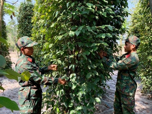 Tăng vùn vụt, đỉnh mới có được thiết lập?