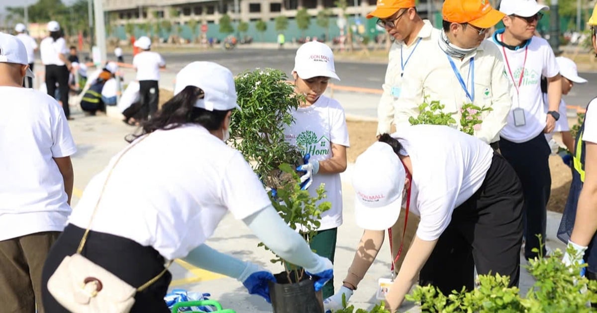 Más de 5.000 árboles plantados antes de la inauguración del Aeon Mall Hue