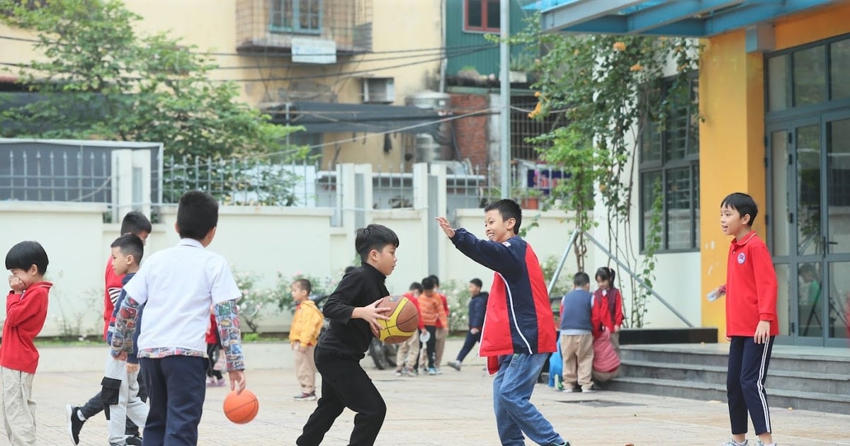 학교폭력에 대한 집착