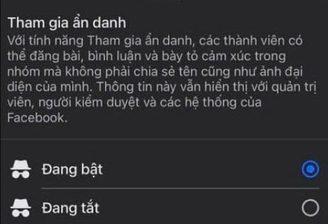 facebook ra mat tinh nang binh luan an danh giup bao mat thong tin ca nhan hinh 3