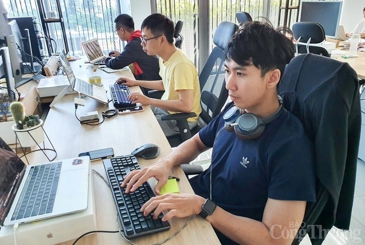 Da Nang: Im Jahr 2024 liegt das Ziel für den Softwareexportumsatz bei 161,8 Millionen USD