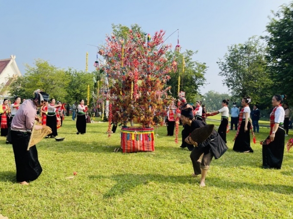 Tauchen Sie diesen November in die vietnamesische Volkskultur ein